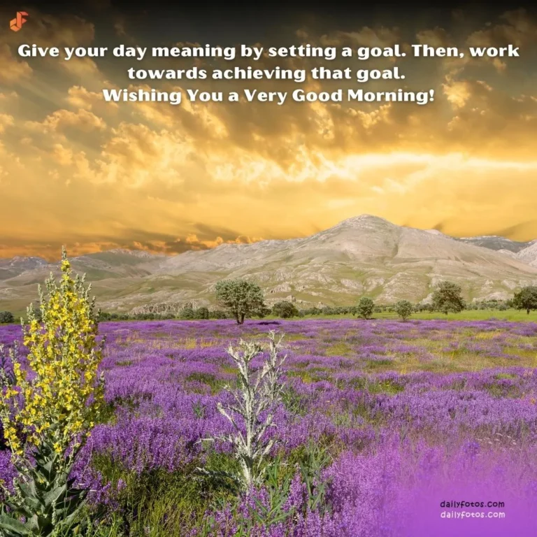 Good morning image of lavendar field hill and sunrise