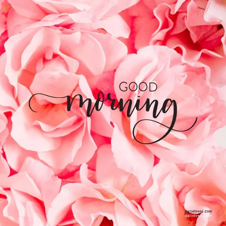 Good morning image of pink flowers