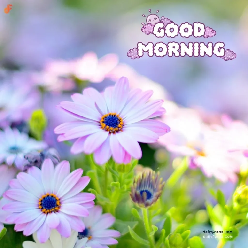 Good morning image with purple flowers