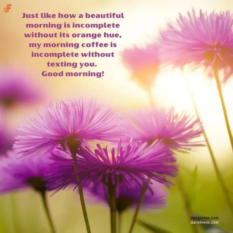 Good morning image with purple flowers and message 1.jpg