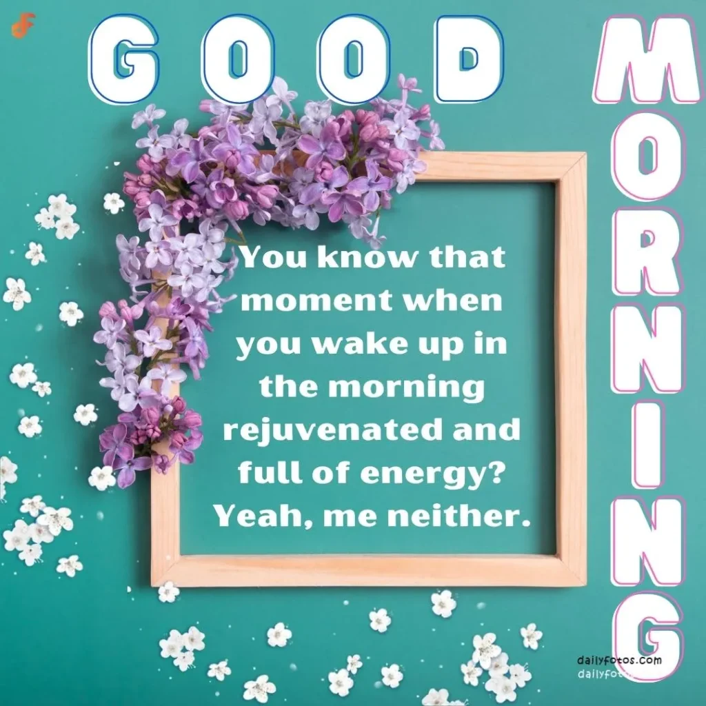 Good morning message in wooden frame and purple flowers