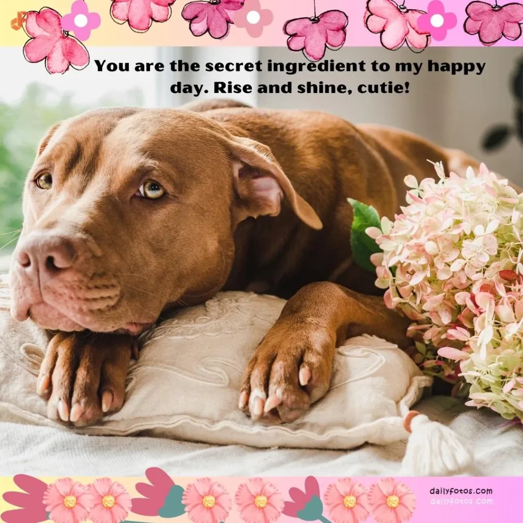a dog and flowers good morning image with a quote
